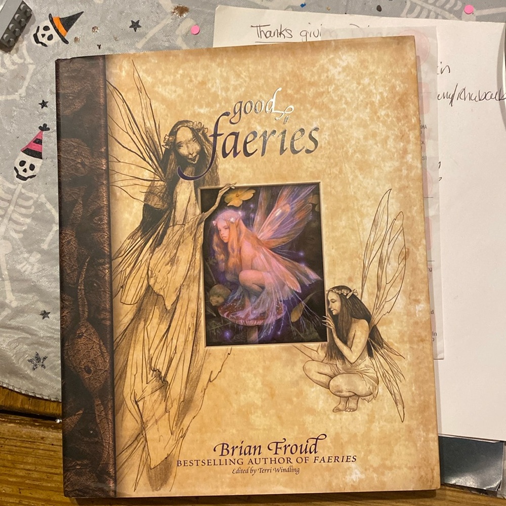 Good faeries bad faerieses hardcover book